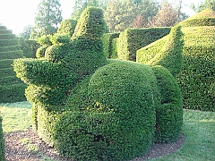 478 Longwood Gardens [2008 August 23]